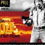 Die gesuchte Website ist in der Gewalt von Chuck Norris!