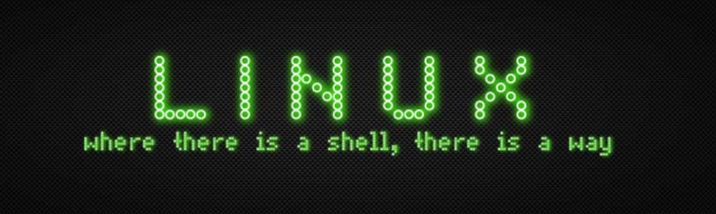 LINUX where there is a shell, there is a way