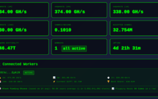Visit solo-mining.bitcoin-mempool.info
