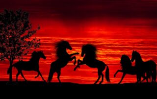 🐎 CNY 2026 – Das wilde, freie Pferdejahr!